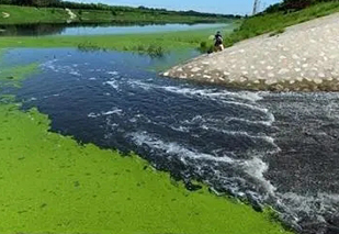 面對(duì)黑臭水體治理難題，都有哪些應(yīng)用不錯(cuò)的處理工藝？