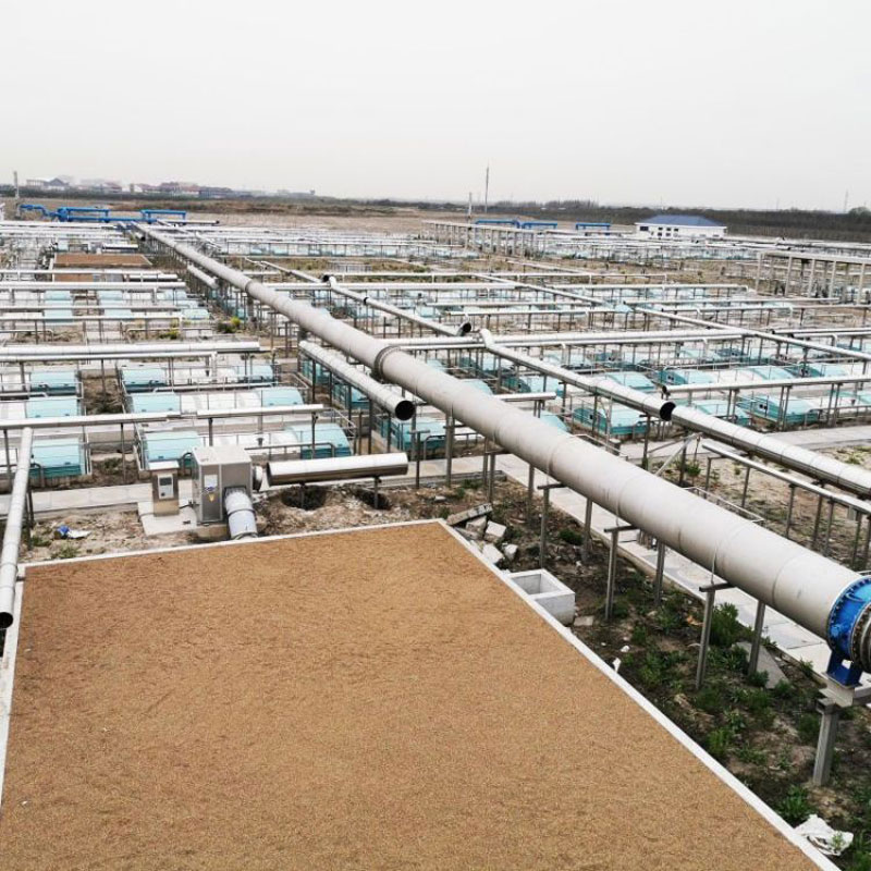 活性污泥對進(jìn)水水質(zhì)有哪些要求？