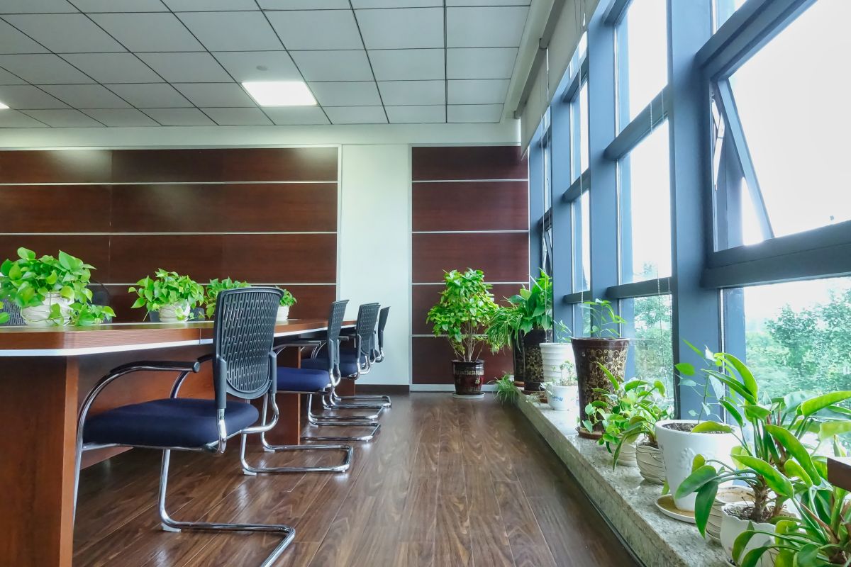 這才叫綠色環(huán)保，四川博水環(huán)保辦公室盛夏綠意